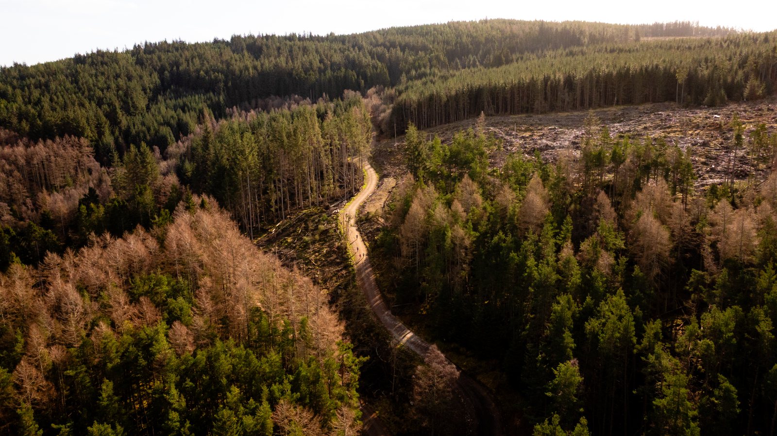 Rider on high gravel above Royal Deeside