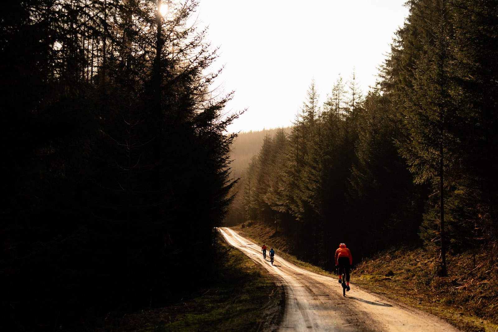 Riders on a forest gravel road at golden hour